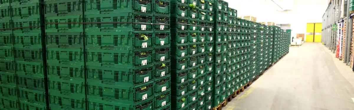 8 razlogov, zakaj so plastični zaboji za večkratno uporabo boljši od škatel iz valovitega kartona