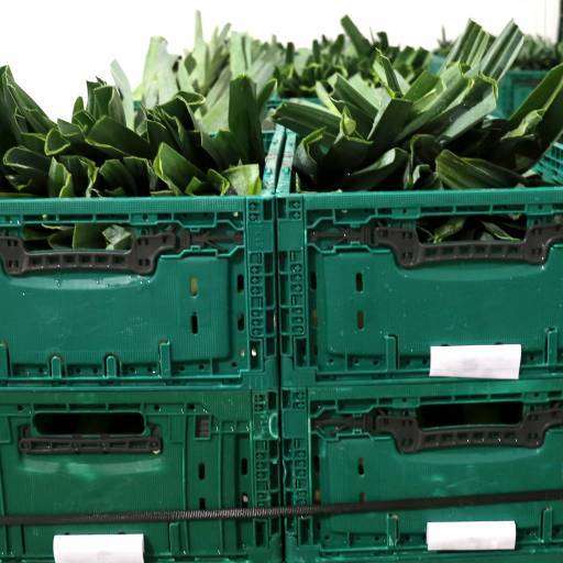 Reusable packaging in the focus of ENNA Fruita's sustainability strategy